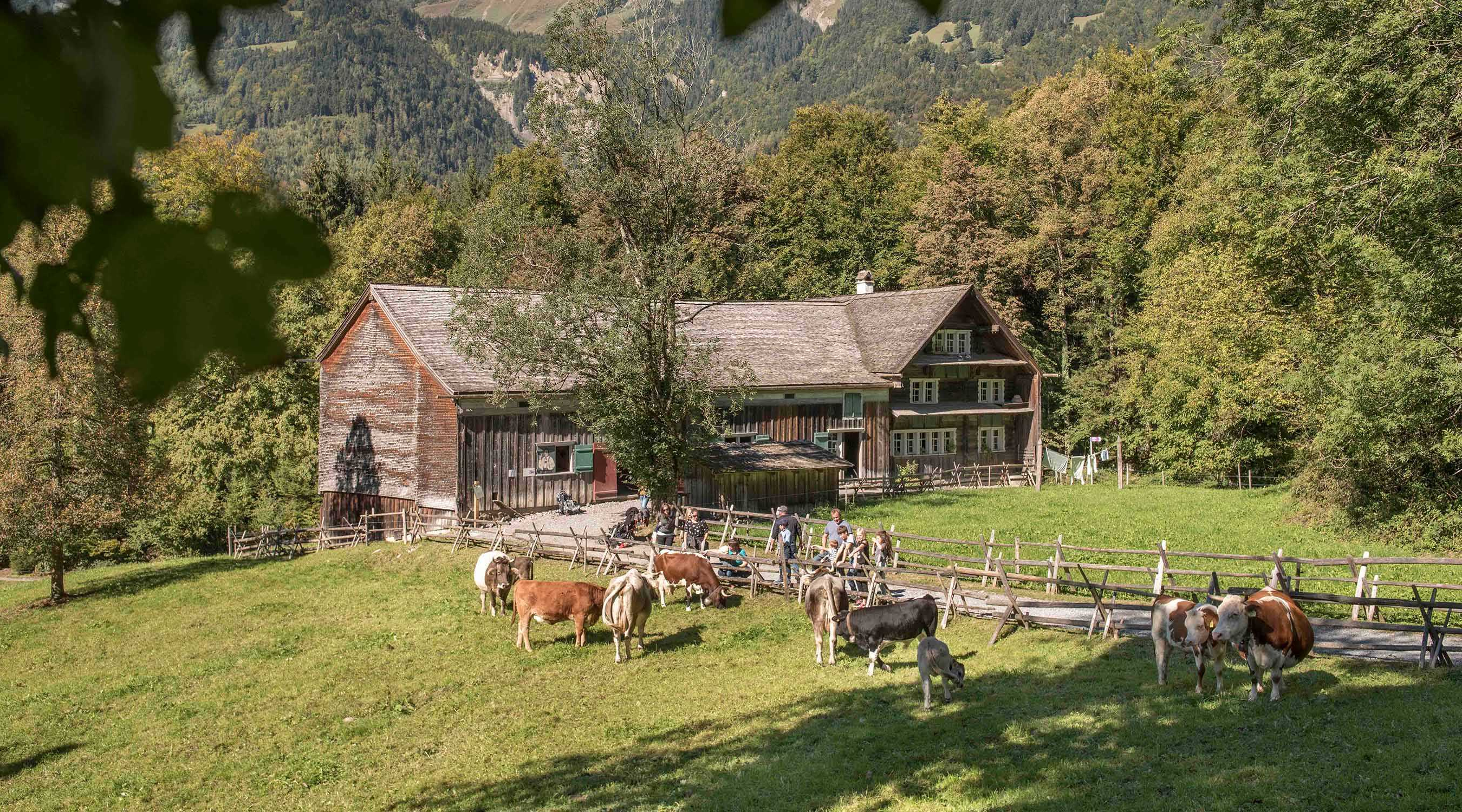 Ballenberg Open-Air Museum