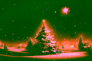 Weihnachten2024